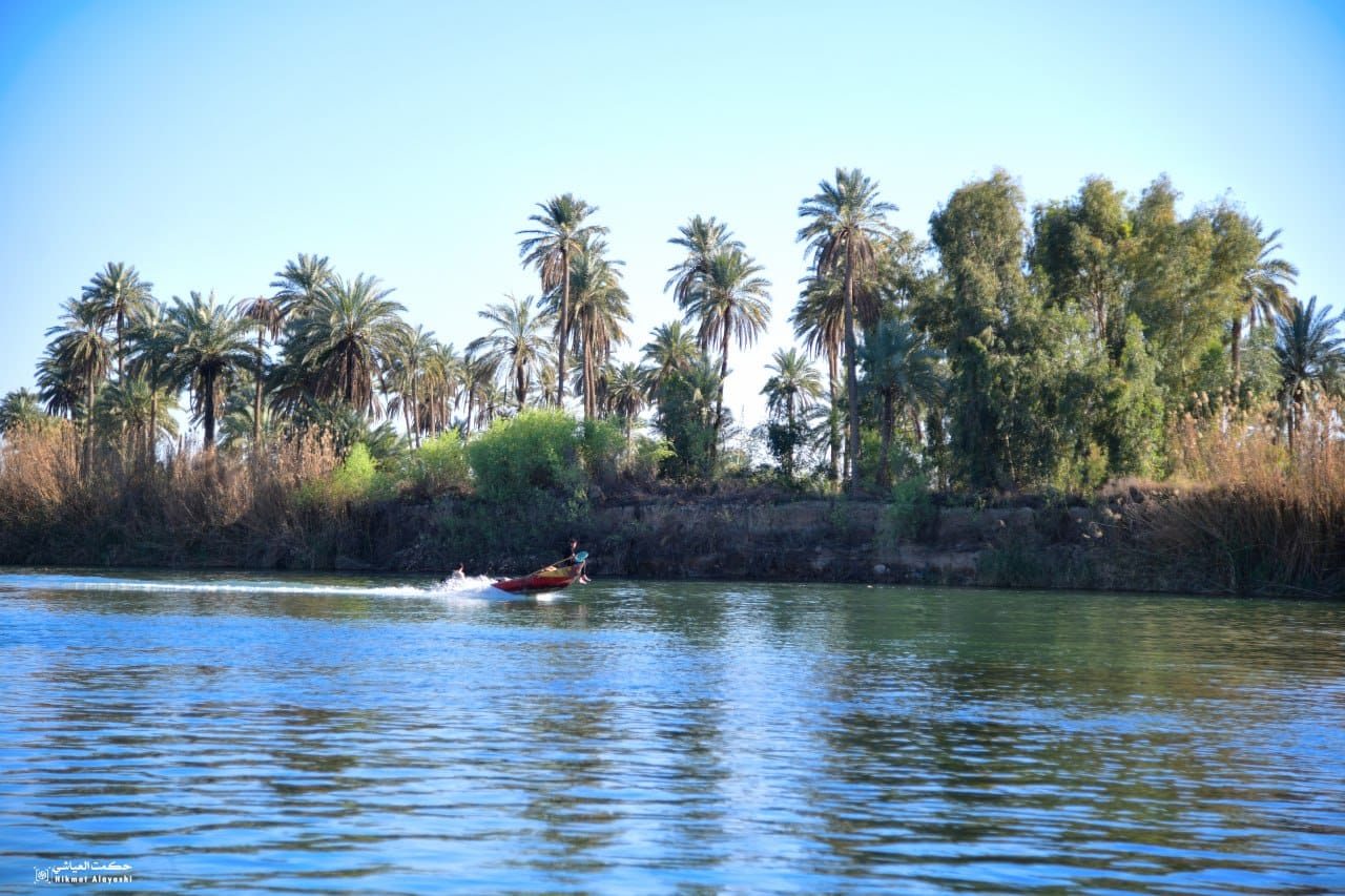 small boat moving across river near palm trees in Karbala Iraq