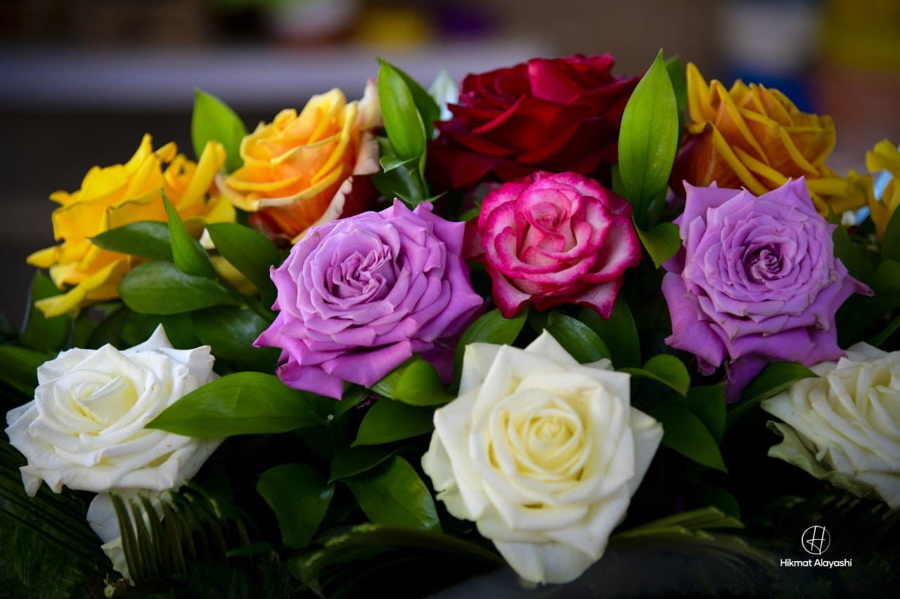 colorful roses bouquet in Iraq