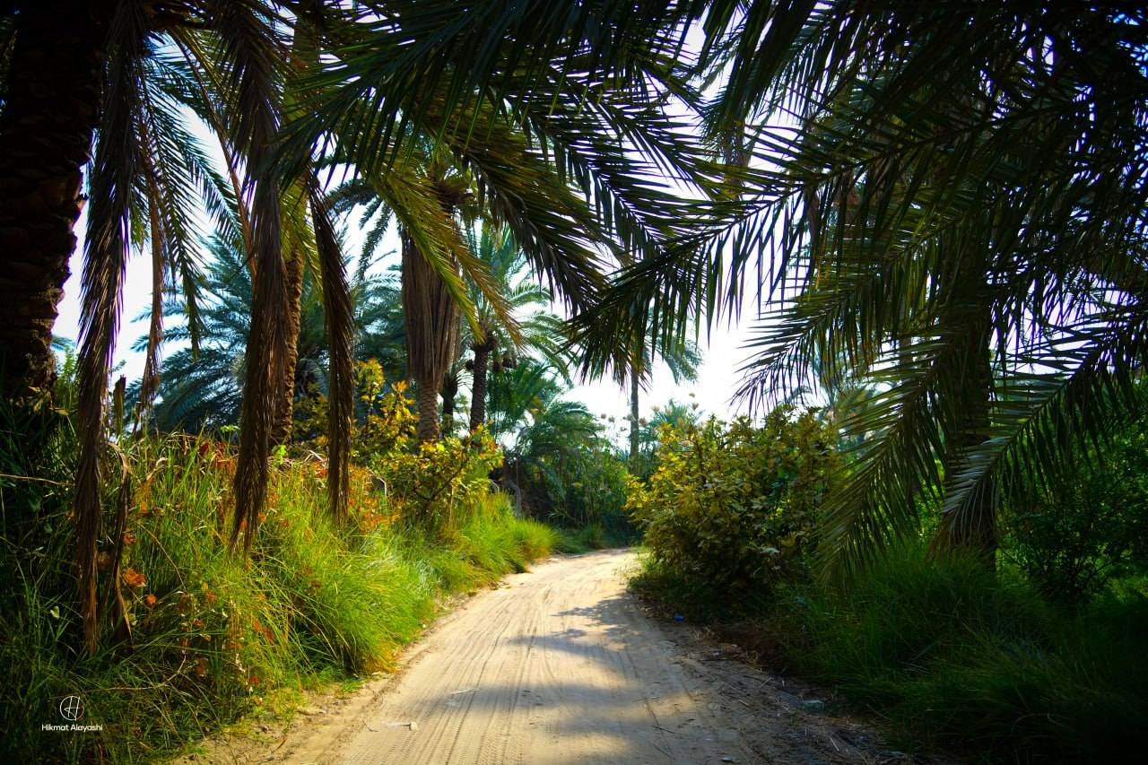 arched walkway inside a garden in Karbala Iraq
