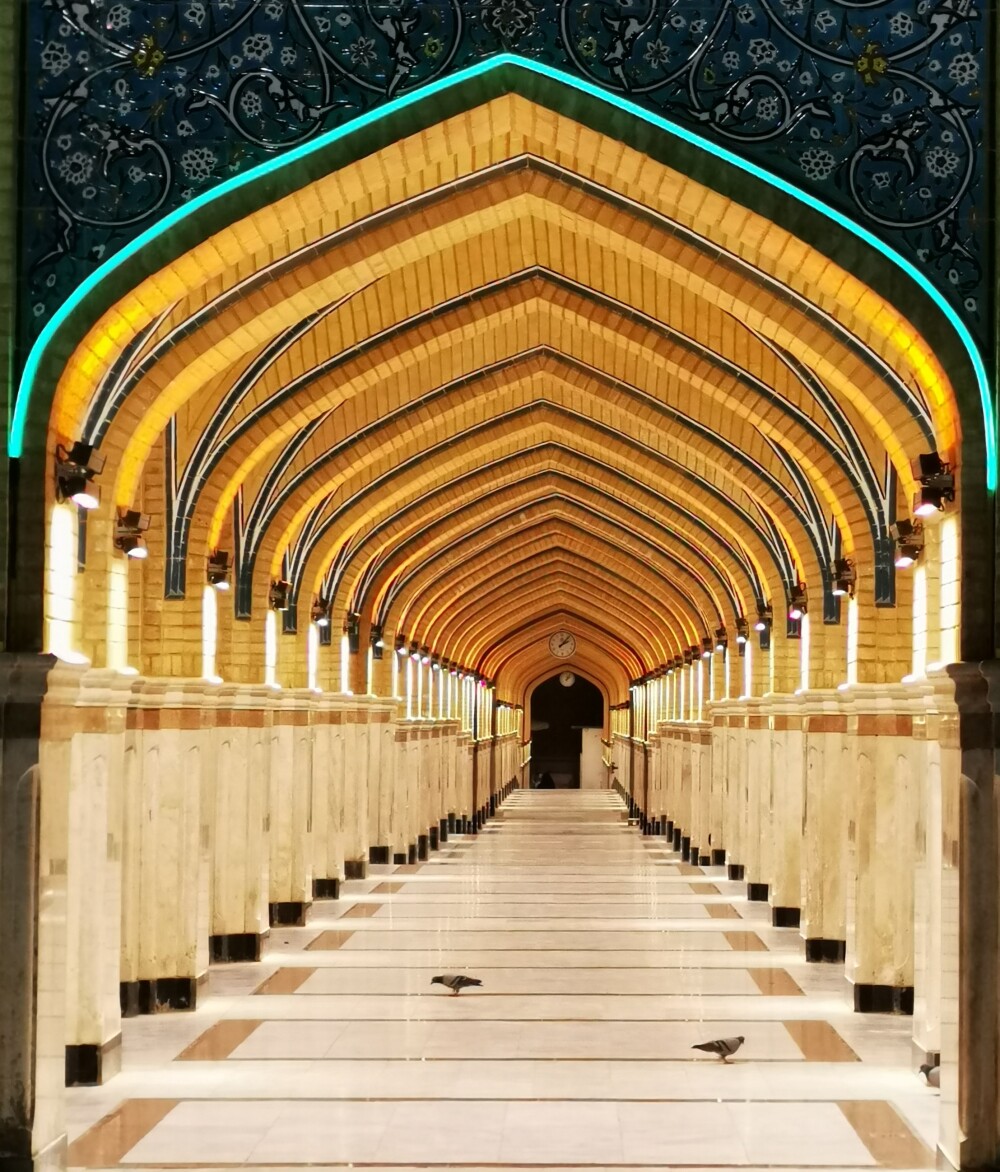 Sunny day show shiny arches and peaceful birds scene in Najaf, Iraq