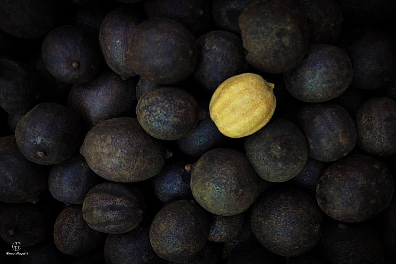 traditional Iraqi dried limes with one yellow lime among dark dried limes
