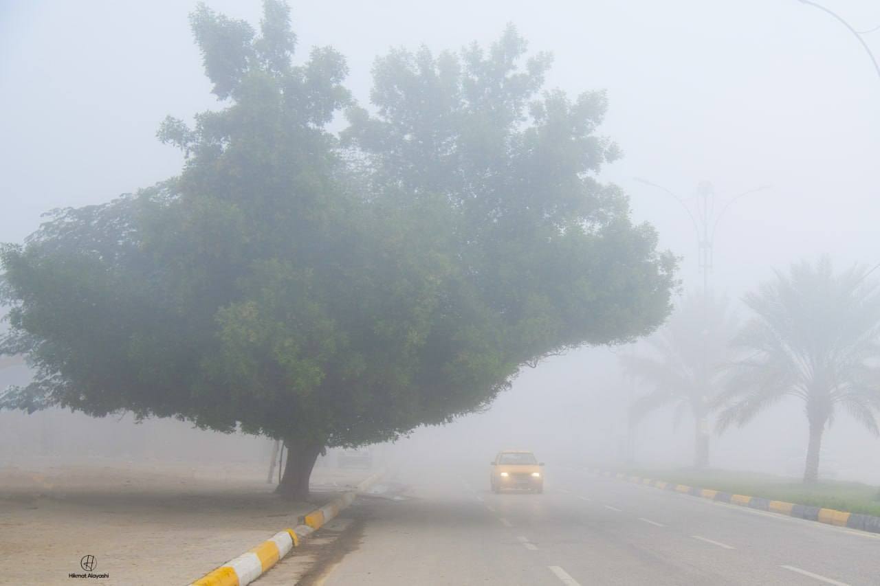 foggy street with trees and car headlights in Iraq