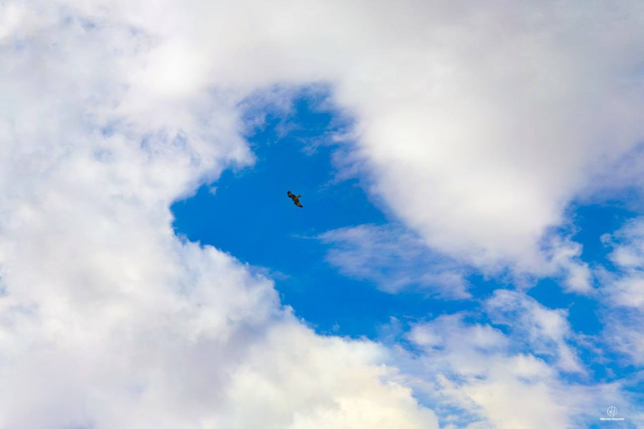 gorgeous blue sky with beautiful cloud, Iraq