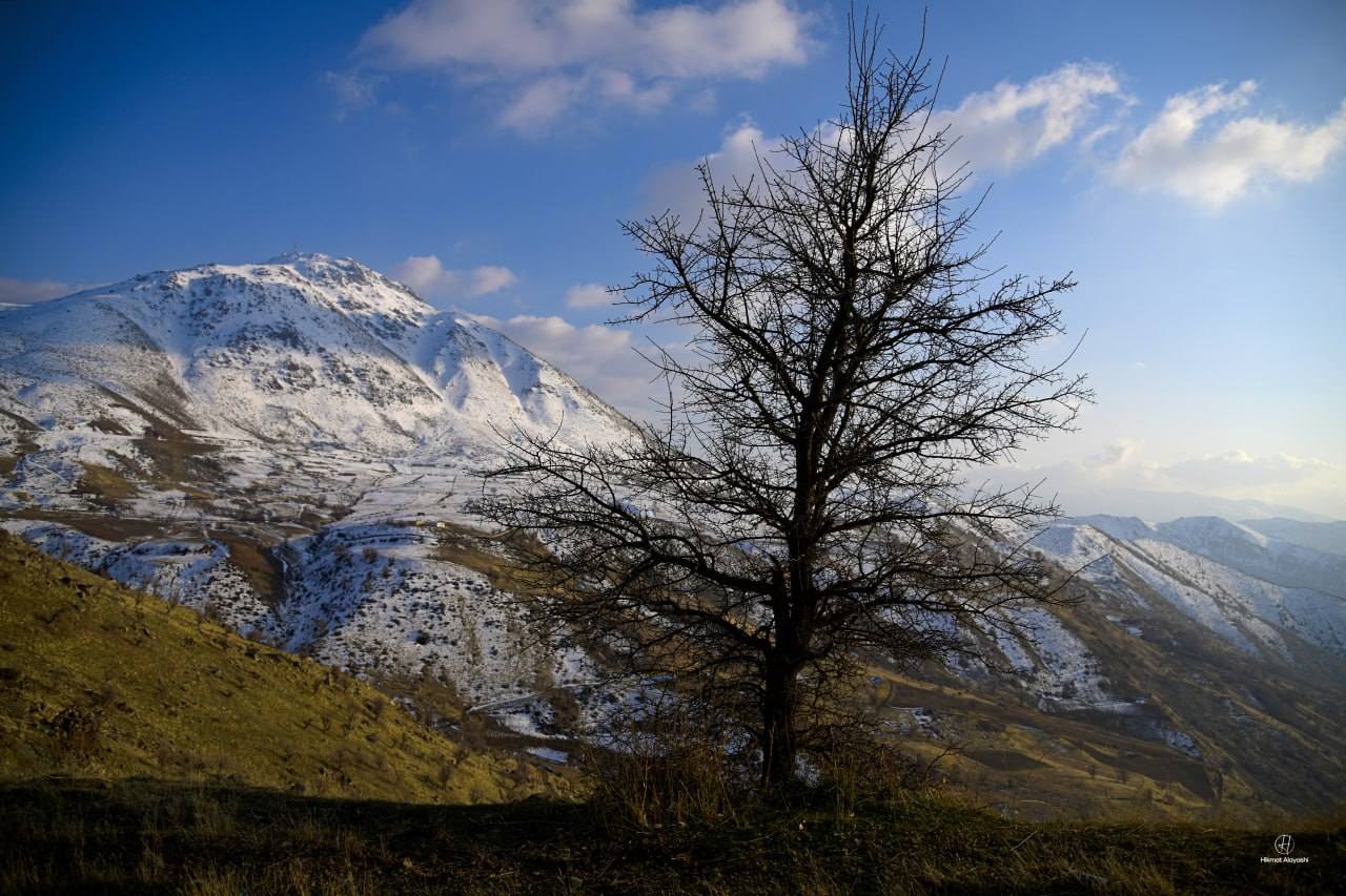 snow-covered mountains in northern Iraq