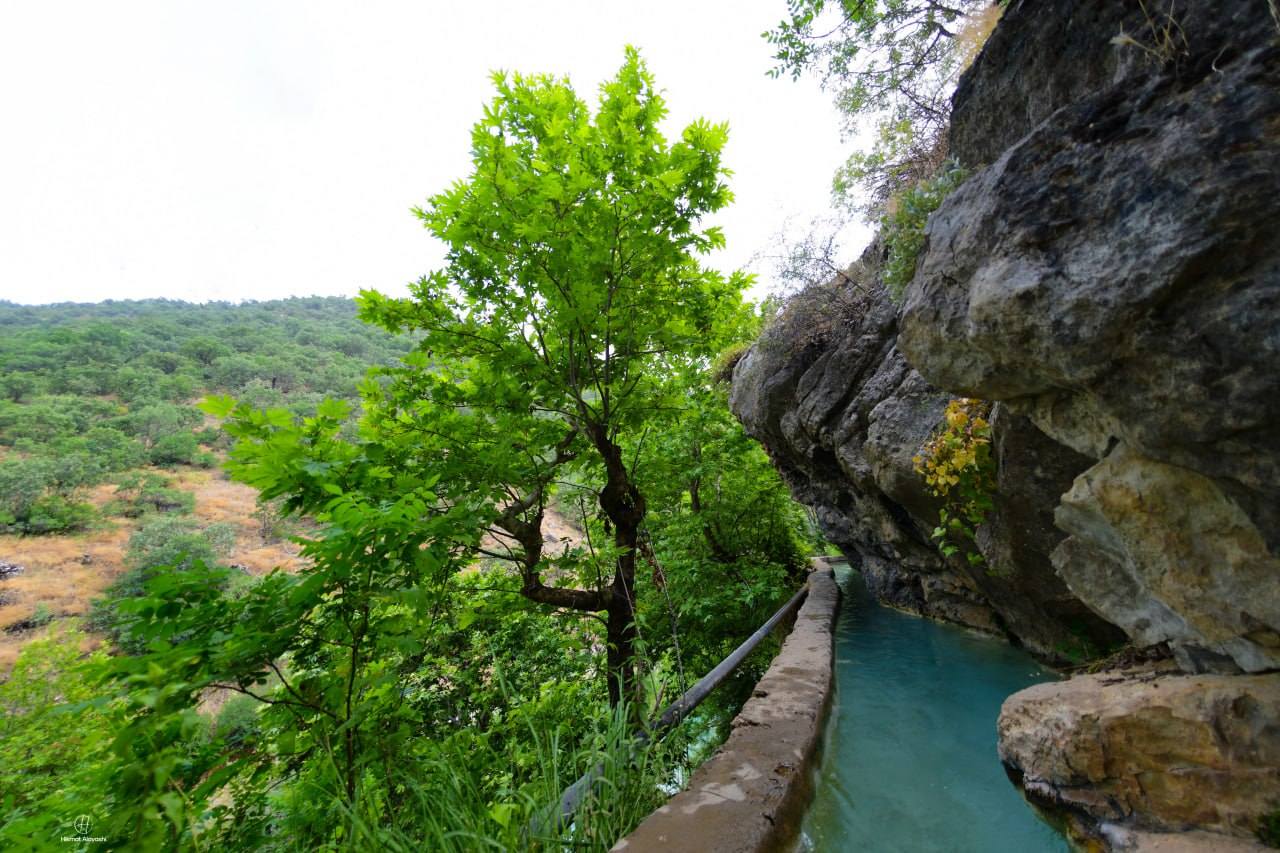 trees and turquoise waterway along a rocky path in northern Iraq